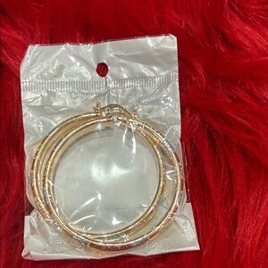 Elegant Gold Hoop Earrings